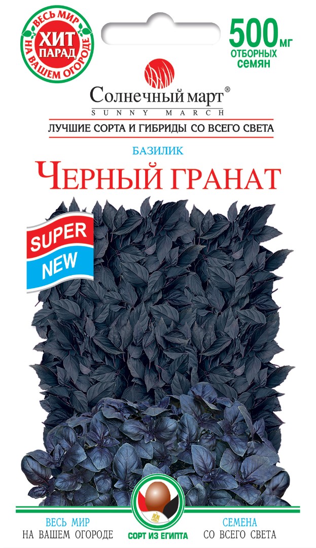 Базилик Черный гранат